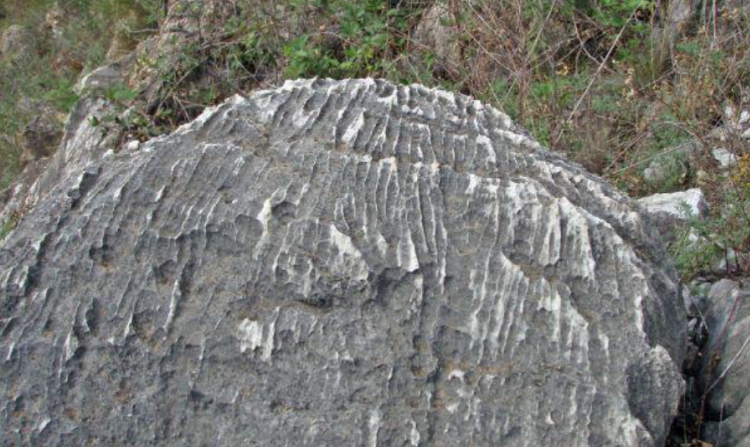 Australian Capital Territory: Canberra limestone