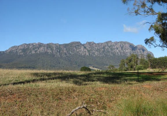 A field with a mountain in the background Description automatically generated