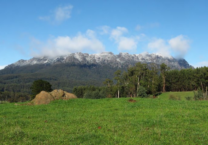 A picture containing grass, outdoor, field, grazing Description automatically generated