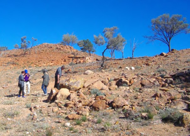 Rock of the month: plagioclase-pyrite gneiss