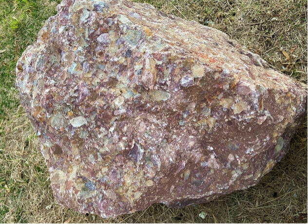 Owen conglomerate specimens moved to Hobart