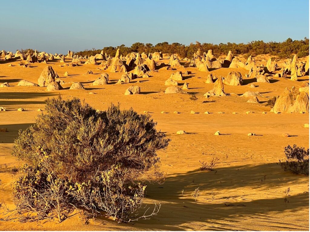 Formation Of The Pinnacles Western Australia National Rock Garden